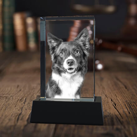 En 3D-fotokristall med ett foto av en bedårande hund ingraverat inuti